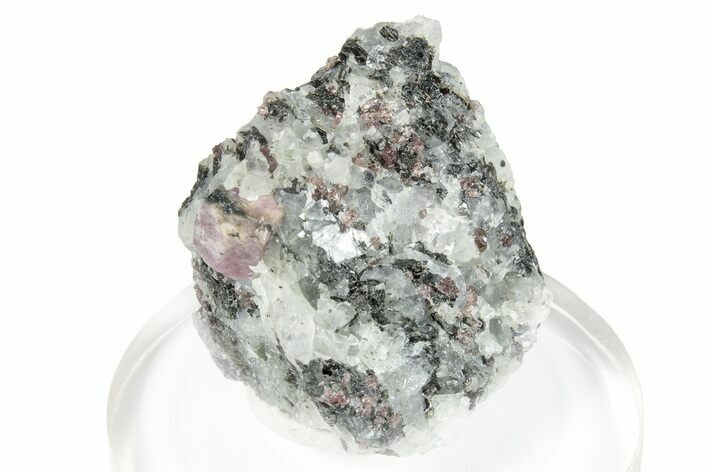 Fluorescent Ruby and Almandine Garnet in Matrix - Russia #253210